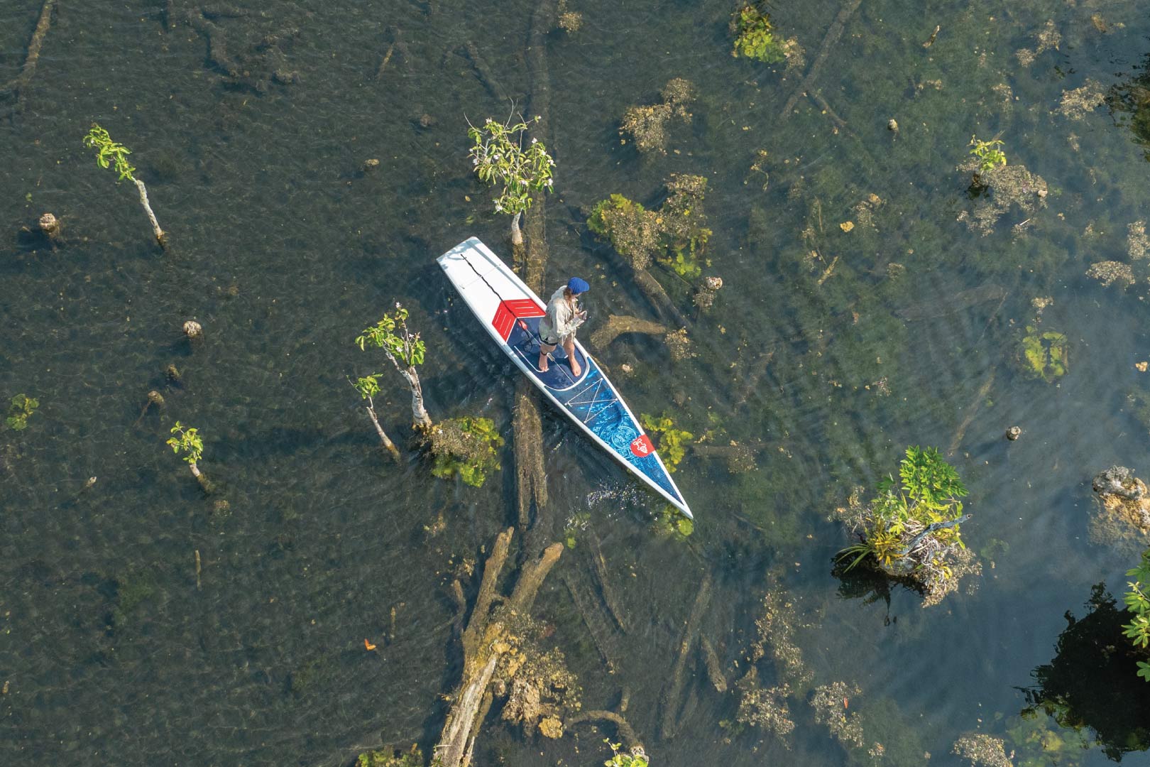 Waterline Paddleboards
